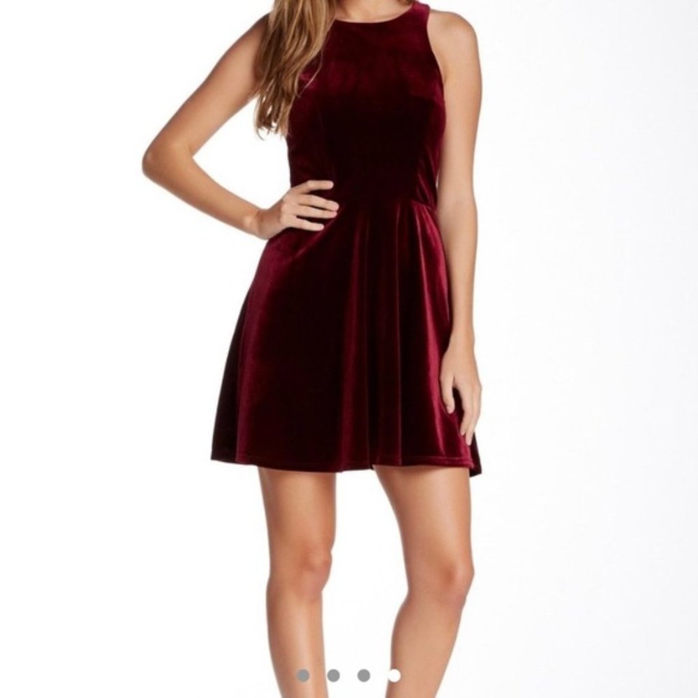 Burgundy Velvet Skater Dress